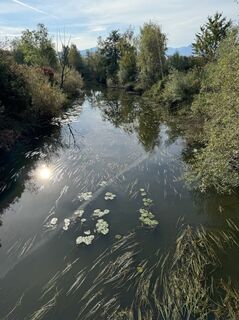 Fotografija s spletne strani H Elsner na poti