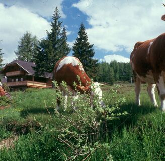Sonnalmhütte Sonnalm Stubeck bei Gmünd