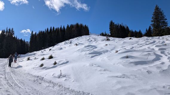 Photo de Pfefferam le long du parcours