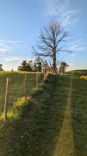 Photo from Klaus Lehner along the tour