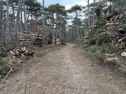 Fotografia z Car Wanderfreude na trase