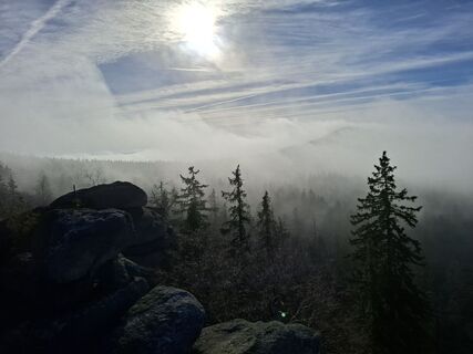 Fotografija s spletne strani Wollomator na poti
