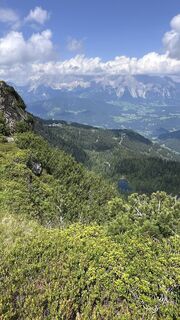 Foto von Mountain Cat ? ⛰️ entlang der Tour