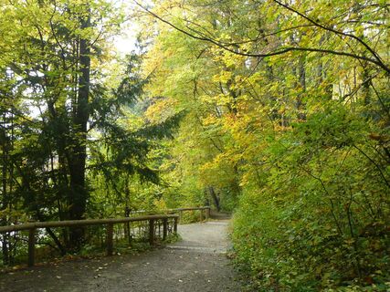 durch den Leechwald