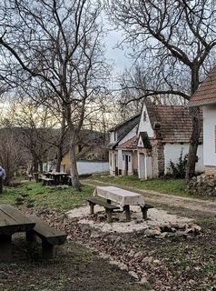 Photo de Julika Jármer le long du parcours