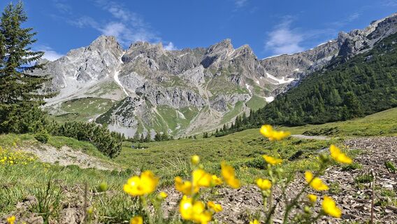 Fotografija s spletne strani Veronica Thoeni na poti