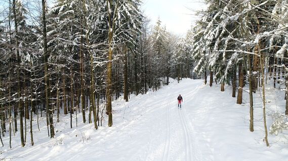 Langlauf am Gibacht