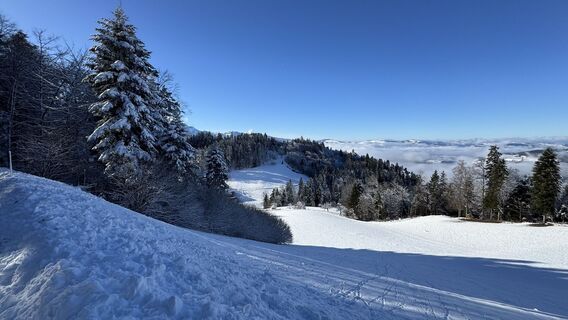 Foto von peter_oe entlang der Tour