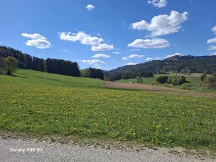 Photo de Muehl Erich le long du parcours