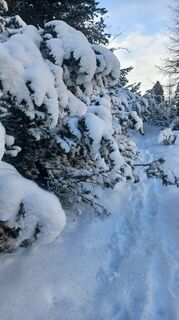 Foto von Corrado Menardi entlang der Tour