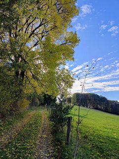 Zdjęcie z DevilsBastard wzdłuż trasy