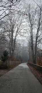 Photo de garrincha le long du parcours