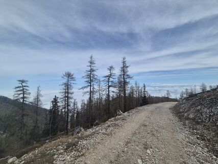 Foto von Wolfgang Wurzer 1 entlang der Tour