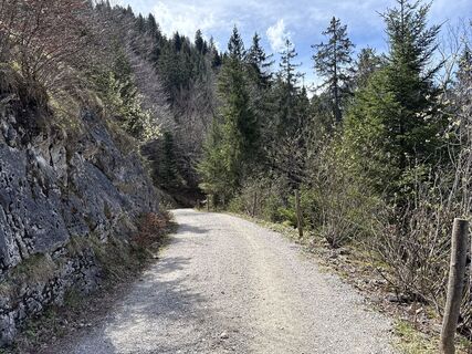 Foto von Similaun entlang der Tour