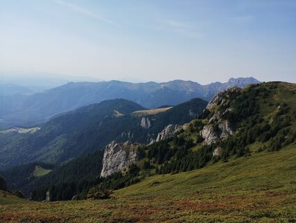 Foto de Tasurinki Mitote a lo largo del recorrido