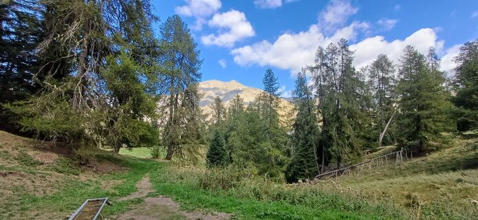 Photo de Valere Rozan le long du parcours