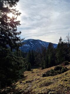 Photo de Mimi le long du parcours