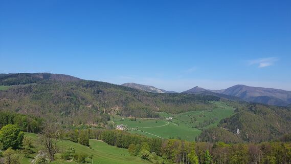 Fotografia z Wolferl na trase