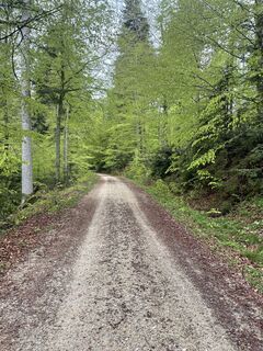 Fotografie z Manuel Küblböck na trase