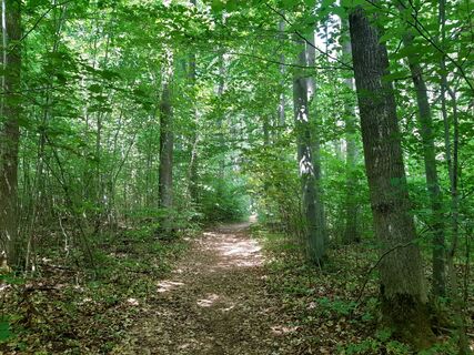 Wanderweg Lamspringe Niedere Berge