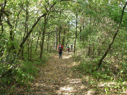 Wandern rund um Pulkau