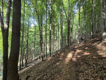 Photo de János Zsolt Mahr le long du parcours