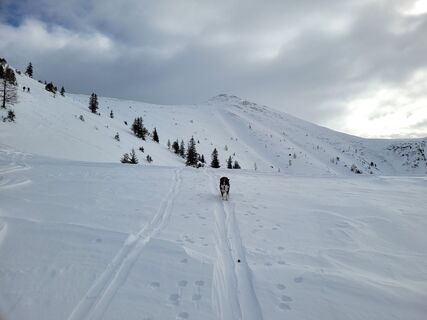 Foto da schenkeli lungo il tour