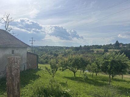 Fotografija s spletne strani Mihály Szabó na poti