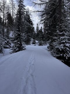 Foto von stijn zijderveld entlang der Tour