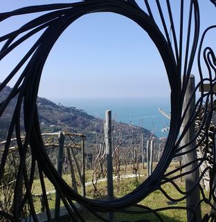 Die Tour bietet einen faszinierenden Ausblick aufs Meer