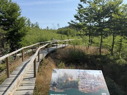 Fotografia z Felix Schenk 1 na trase