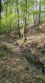 Foto von János Zsolt Mahr entlang der Tour