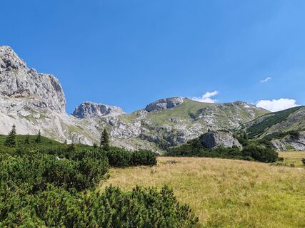 Photo de Mario Metzger le long du parcours