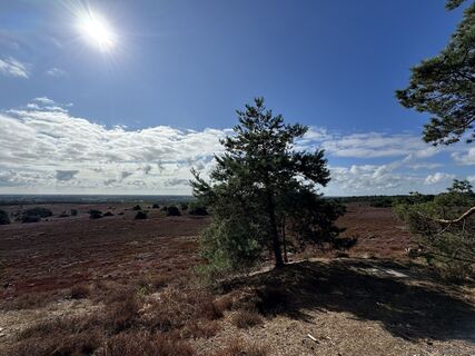 Fotografija s spletne strani Ivo van Sark na poti