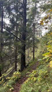 Foto de Sabine Offenberger a lo largo del recorrido