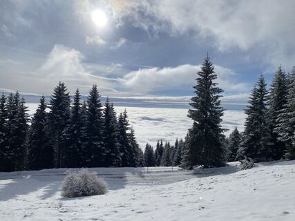 Foto von Marietta entlang der Tour