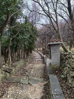 Zdjęcie z Darija Forgač wzdłuż trasy