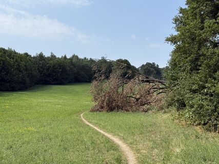 Foto von Hermann Czerweny entlang der Tour