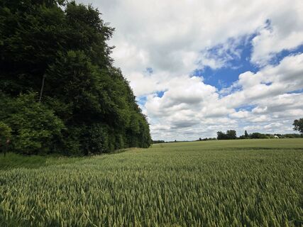 Fotografie z philippe na trase