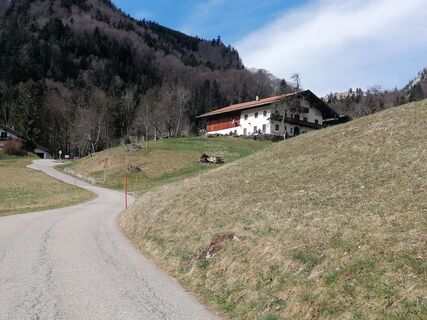 Da gehts rauf.