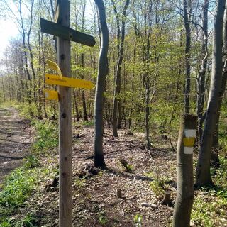 Hinweisschild "Jubiläumswarte"