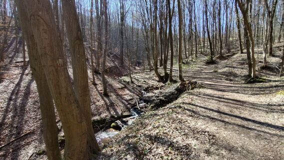 Foto de István Gábor 1 a lo largo del recorrido