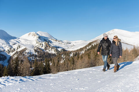 Winterwandern am Berg (c) BRM - Franz Gerdl