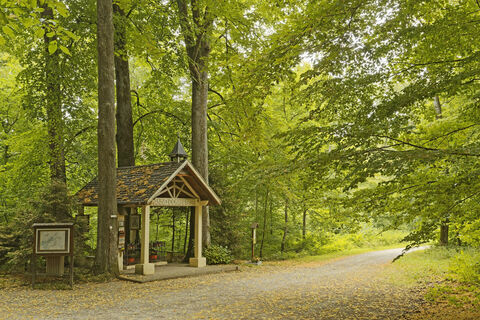 "3 Jungfrauen" von Wentzwiller