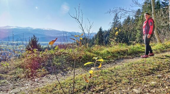 Aufstieg zur Sillweger Aussichtswarte