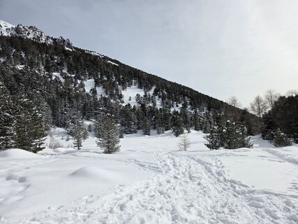 Foto van FABIO MAGLIANO langs de tour