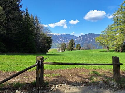 Fotografia z Herbert Eckelhart na trase