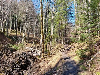 Foto von dummy125 entlang der Tour