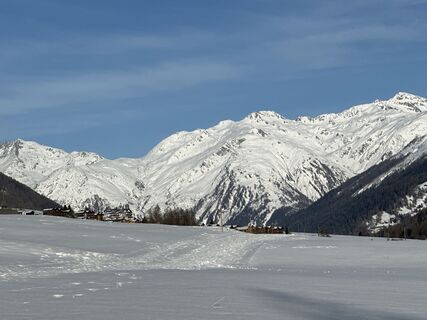 Foto von Zengaffinen Erwin entlang der Tour