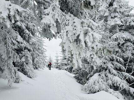 Foto von Dani Geiger / Natur_erleben_dg entlang der Tour